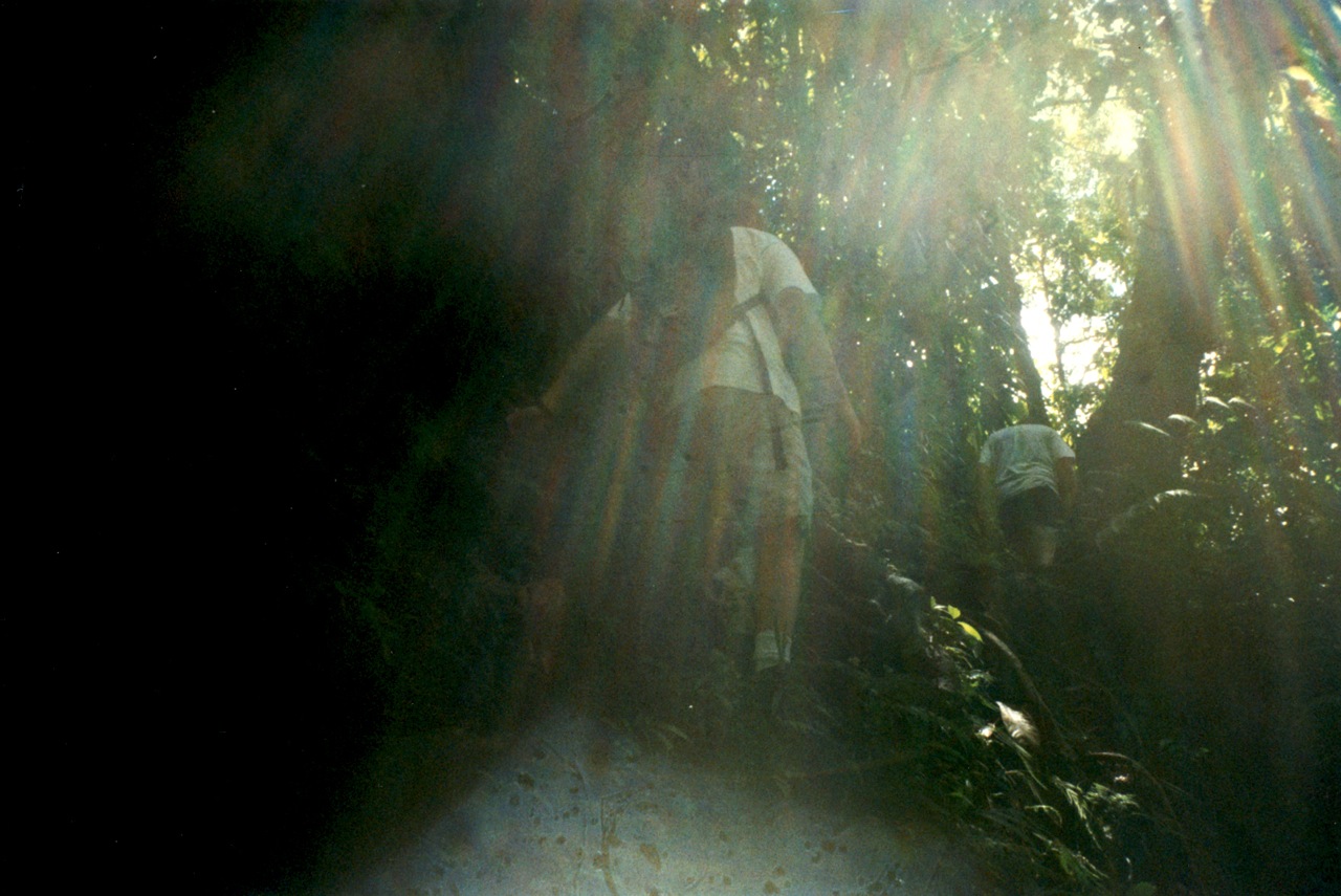 Climbing in the Jungle