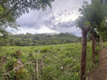 Scenery