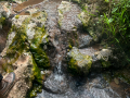Scenery - Thermal Spring