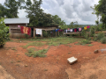 Community Living